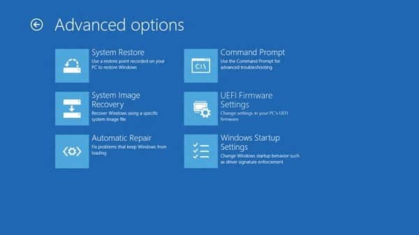 Windows Startup Advanced Options, Image Credit: Microsoft
