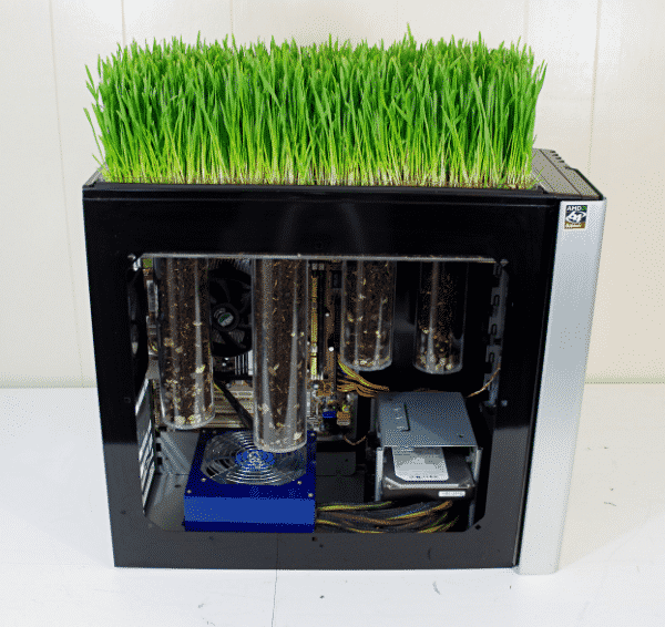 Wheatgrass On Top Of A Computer Case
