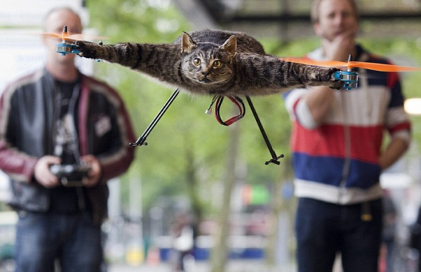 Dead Cat Turned Into A Quadcopter, Image Credit : Reuters