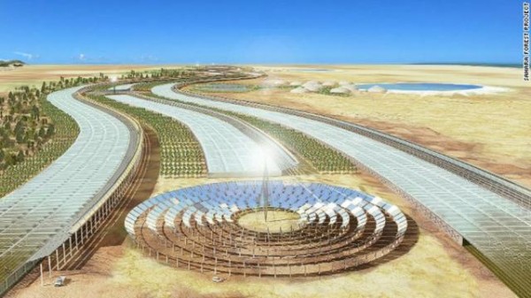 Desert Turning 'Green' In Qatar