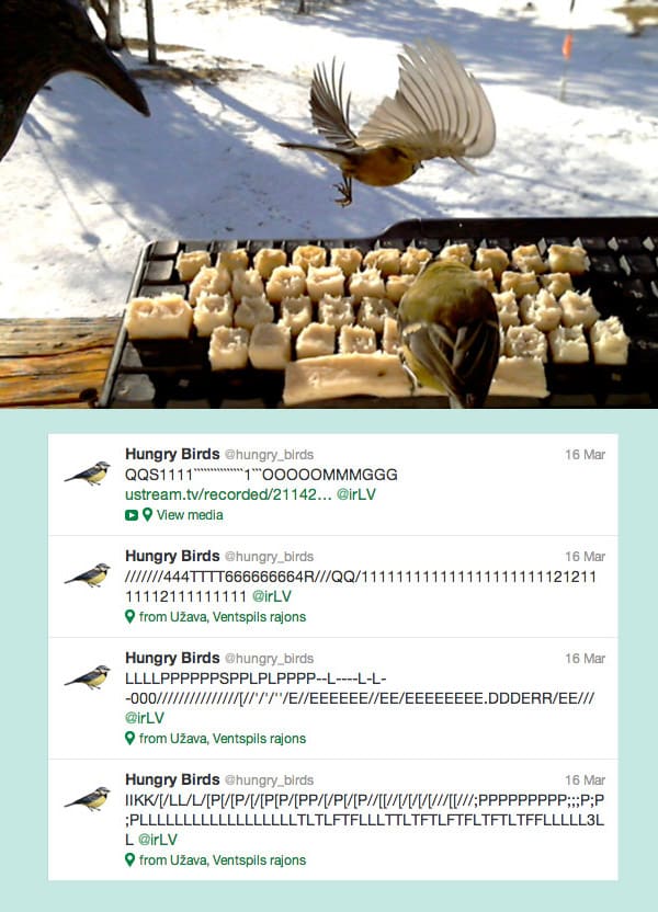 Bird tweets