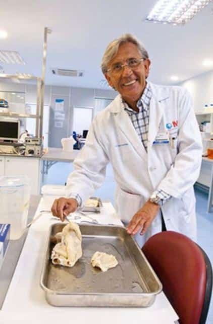 Dr. Francisco Fernandez-Aviles With A Human Heart Devoided Of Its Cells