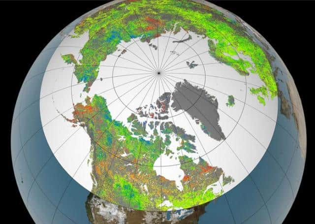 Vegetation Growth At Earth's Northern Latitudes