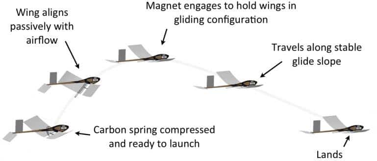 Jumping And Gliding Mechanism