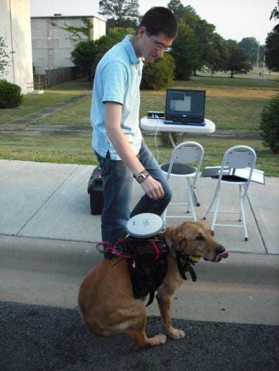Remote Control System To Control Dogs
