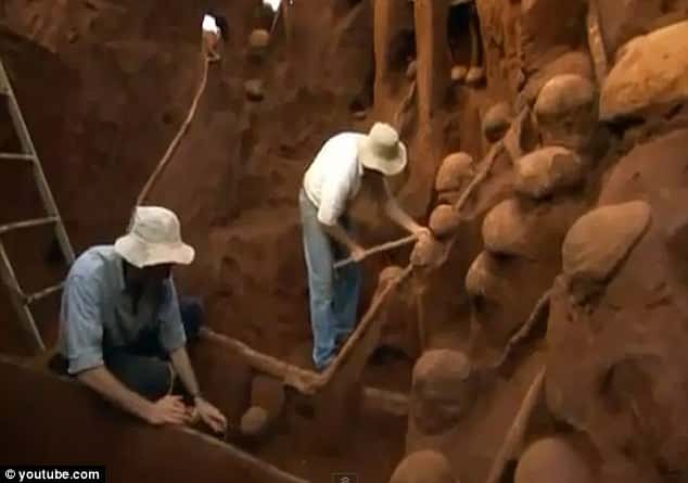 Giant Ant Colony Built Underground