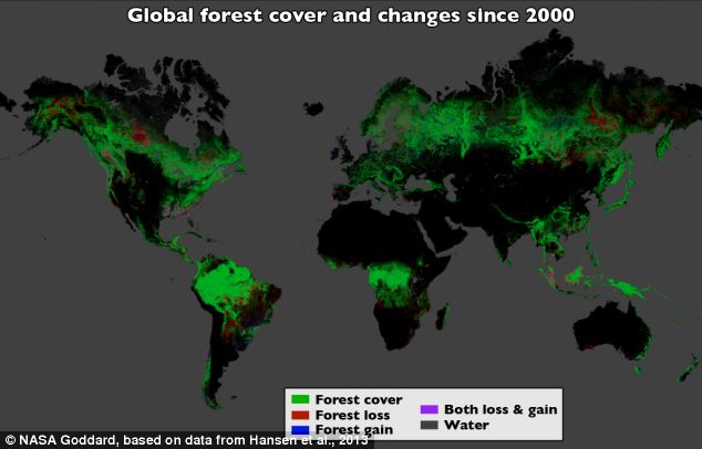 Global deforestation