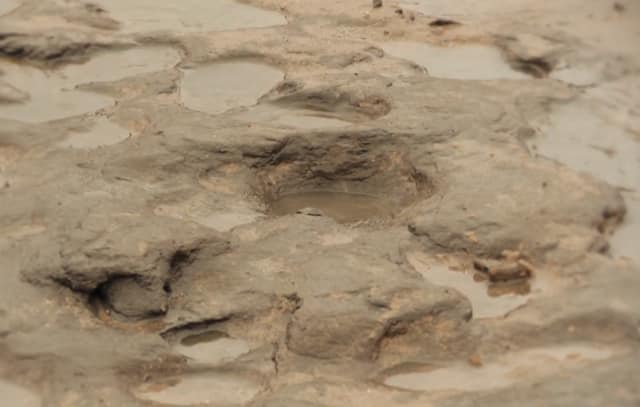 800,000-year-old Footprint On An English Beach