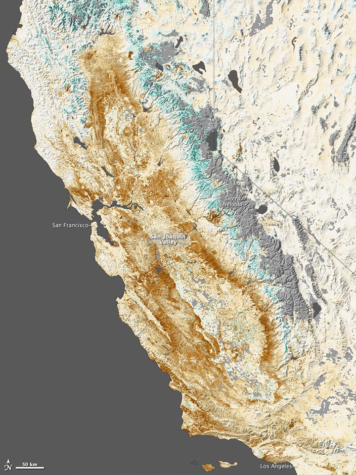 Drought-Stressing-California's-Plantsscape