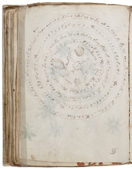 text-with-images-in-voynich-manuscript