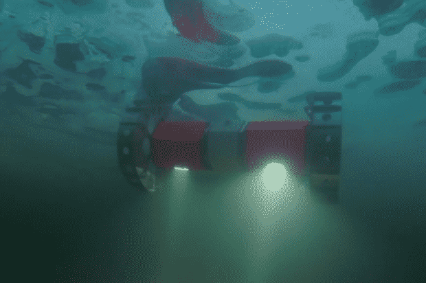 Bruie Under Water