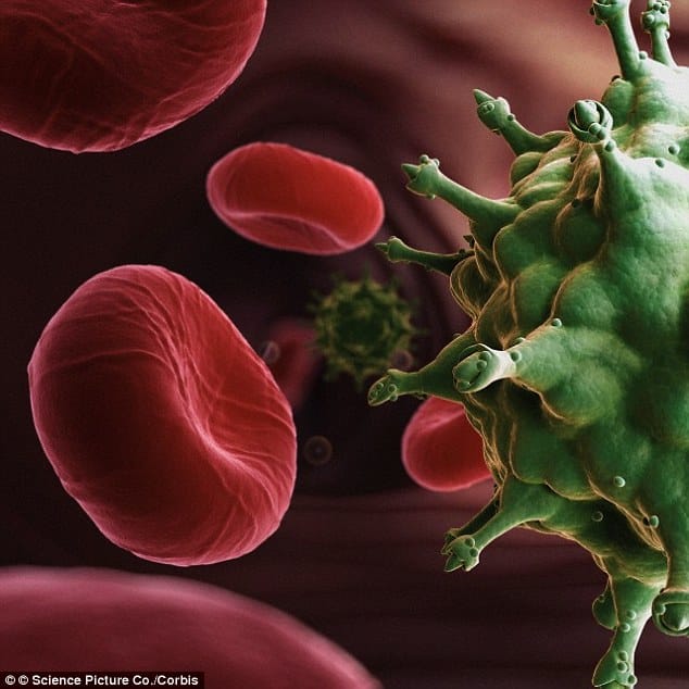 Inside Of HIV Infected People