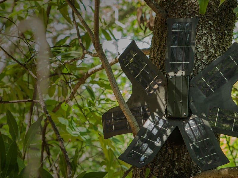 Phone With A Solar Charger Placed On A Tree