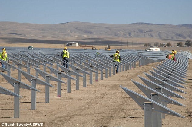 People Working At Topaz Solar Farm