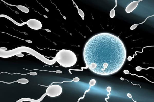Race Of Sperm