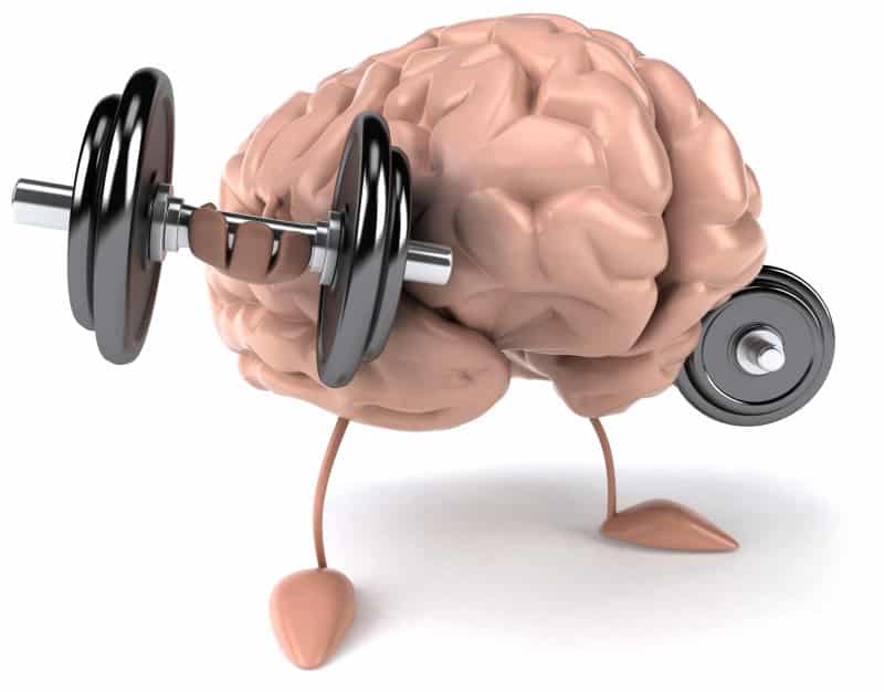 Education-brain-as-a-muscle_68644981