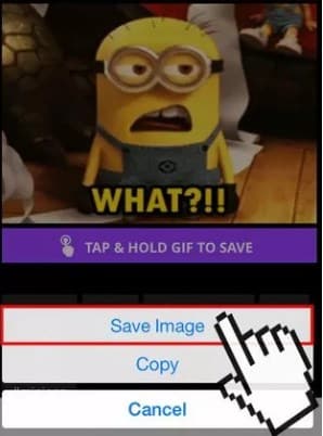 [Tutorial] How to Save & Send GIF From an iPhone
