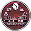 Intelligent Scene Selector
