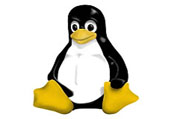 Read more about the article Linux is the easiest platform for Running Windows Games