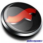 Adobe Flash Player 10.1