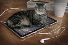 iPhone & 3G Applications Still Work!