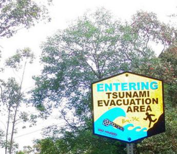 Read more about the article Hawaii Tsunami Warning Live Online