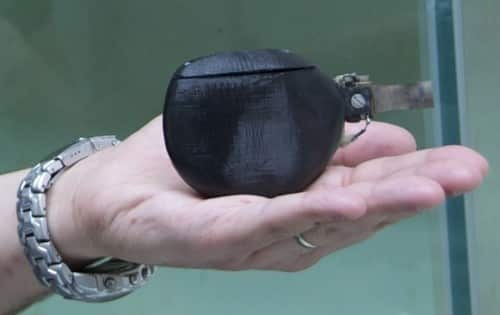 Read more about the article Robot Fish Guides A Group Of Real Fish Across A Pool