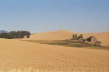 Scientists Could Cure The World’s Food Problems In Twenty Years