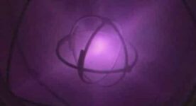 Brooklyn Man Builds Nuclear Reactor At Home