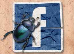 Read more about the article Two New Facebook Scams