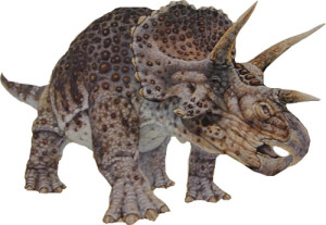 Read more about the article The Three-Horned Dinosaur Triceratops Never Existed, Say Scientists