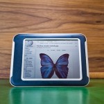 Release Date, Specs and Price of New E-Reader “Nook Color”
