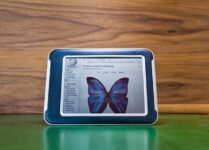 Release Date, Specs and Price of New E-Reader “Nook Color”