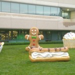 Rumour:Android 2.3 / 3.0 Gingerbread To Be Launched on 11th November