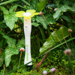 EasyBloom Plant Sensor Plus
