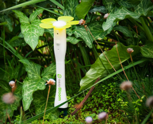 Read more about the article EasyBloom Plant Sensor Plus