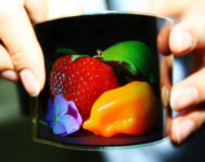 Samsung Showcases 4.5-inch AMOLED