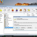 Download Internet Download Manager 6.03 Beta