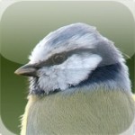 iSpyBirds 1.0 By PointRelease Software For iPhone And iPod Touch