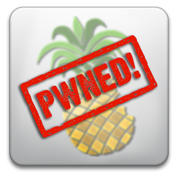 Read more about the article Steps To Jailbreak iPhone 3GS on iOS 4.2 GM with PwnageTool