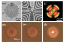 World’s First 3D Microlaser