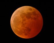 Total Lunar Eclipse to Grace North American Skies