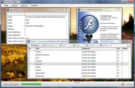 Read more about the article Download FLV-Media Player and Play any Flash FLV Files