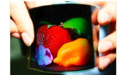 Samsung AMOLED 2 Display is Ready for CES 2011
