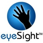 EyeSight Gesture Recognition Technology