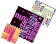 World’s First Programmable NanoProcessor