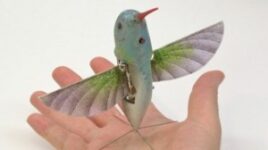 Nano Hummingbird