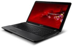 Packard Bell EasyNote NS Laptop