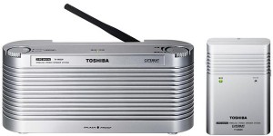 Read more about the article Toshiba TY-WSD9 Wireless Waterproof Speaker