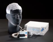 Portable Brain Tumor Treatment System